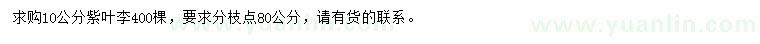 求購10公分紫葉李