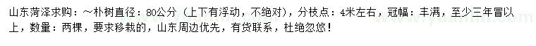 求購直徑80公分樸樹 