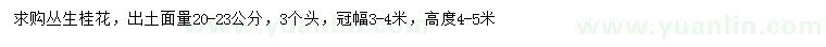 求購出土面量20-23公分叢生桂花
