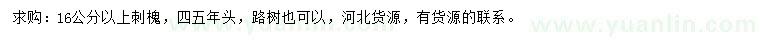 求購16公分以上刺槐