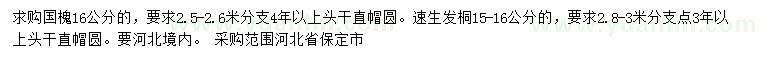 求購16公分國(guó)槐、15-16公分速生發(fā)桐