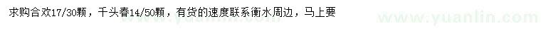 求購17公分合歡、14公分千頭春