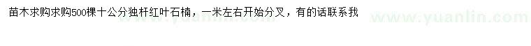 求購10公分獨桿紅葉石楠