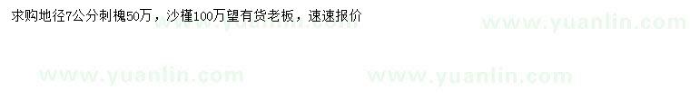 求購地徑7公分刺槐、沙槿