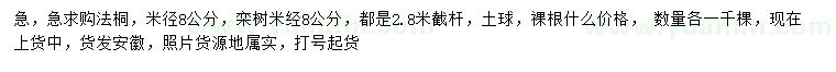 求購(gòu)米徑8公分法桐、欒樹(shù)