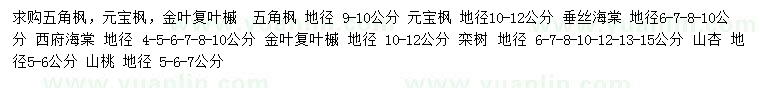 求購五角楓、元寶楓、金葉復葉槭