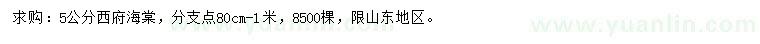 求購5公分西府海棠