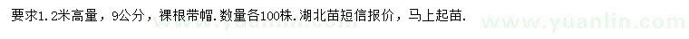 求購(gòu)胸徑9公分欒樹(shù)、法桐