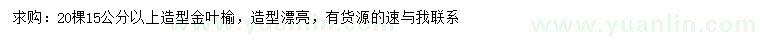 求購15公分以上造型金葉榆
