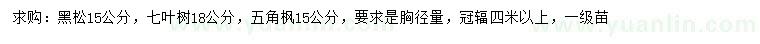 求購黑松、七葉樹、五角楓