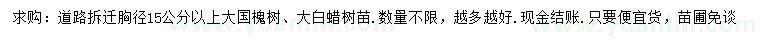 求購胸徑15公分以上國槐、白蠟