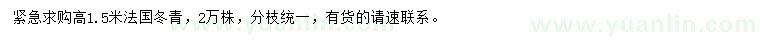 求購(gòu)高1.5米法國(guó)冬青