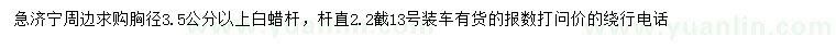 求購胸徑3.5公分以上白蠟桿