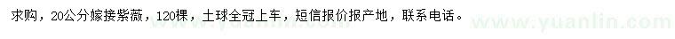 求購20公分嫁接紫薇