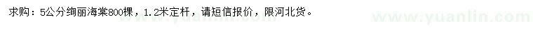 求購5公分絢麗海棠