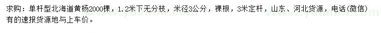 求購米徑3公分北海道黃楊