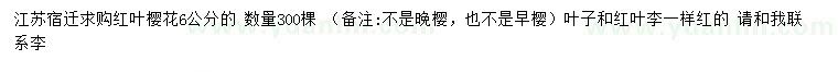 求購6公分紅葉櫻花