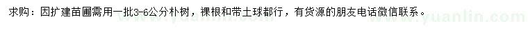求購3-6公分樸樹