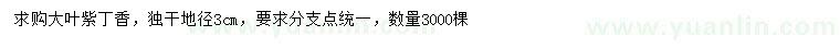 求購(gòu)地徑3公分大葉紫丁香