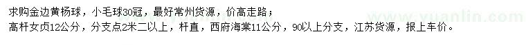 求購金邊黃楊球、高桿女貞、西府海棠
