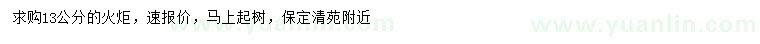求購13公分火炬