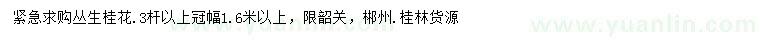 求購冠幅1.6米以上叢生桂花