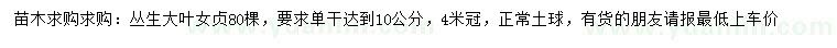 求購(gòu)冠幅4米叢生大葉女貞
