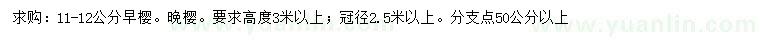 求購(gòu)6公分日本早櫻、晚櫻