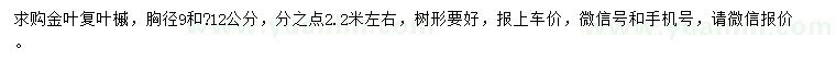 求購胸徑9、12公分金葉復(fù)葉槭