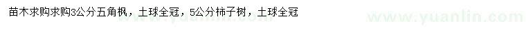 求購3公分五角楓