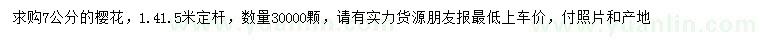 求購7公分櫻花