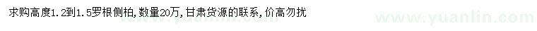 求購高1.2-1.5米側(cè)柏