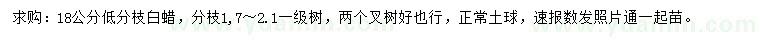 求購18公分低分枝白蠟