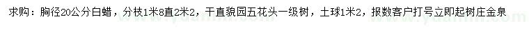 求購胸徑20公分白蠟
