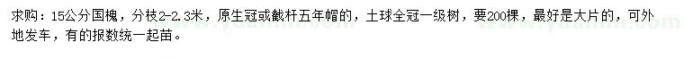 求購15公分國槐