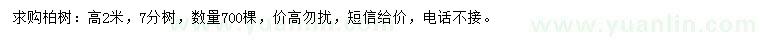 求購高2米柏樹