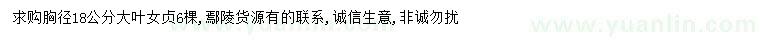 求購(gòu)胸徑18公分大葉女貞