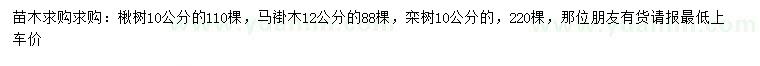 求購(gòu)楸樹(shù)、馬褂木、欒樹(shù)