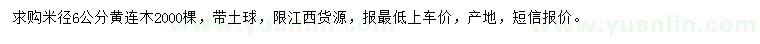 求購米徑6公分黃連木