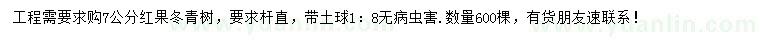 求購(gòu)7公分紅果冬青