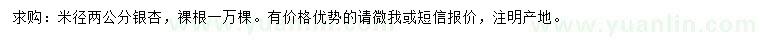 求購米徑2公分銀杏