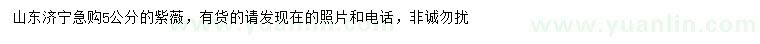 求購5公分紫薇