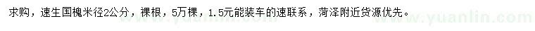 求購米徑2公分速生國槐