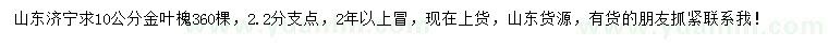 求購10公分金葉槐