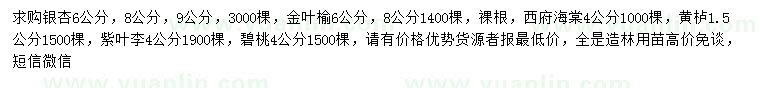 求購銀杏、金葉榆、西府海棠等