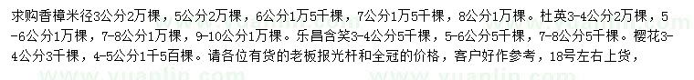 求購(gòu)香樟、杜英、樂昌含笑等