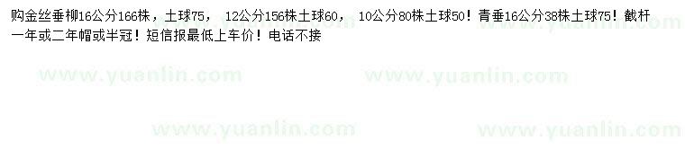 求購10、12、16金絲垂柳、16公分垂柳