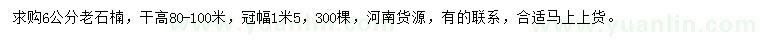 求購(gòu)6公分老石楠