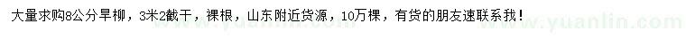 求購8公分旱柳