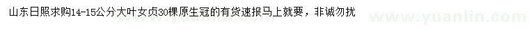 求購14-15公分大葉女貞